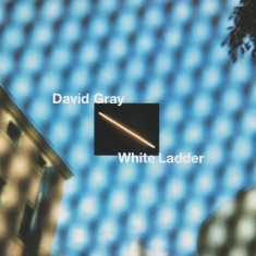 CD David Gray ‎– White Ladder, original, rock