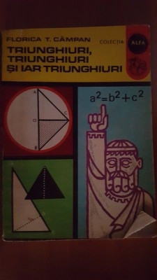 Triunghiuri, triunghiuri si iar triunghiuri- Florica T. Campan foto