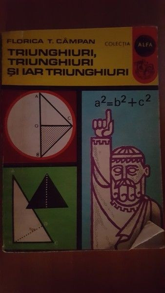 Triunghiuri, triunghiuri si iar triunghiuri- Florica T. Campan