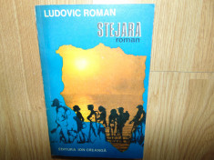 STEJARA -LUDOVIC ROMAN foto