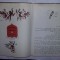 TREI GRASANI-Iuri Olesa-Boris Kalausin(ilustratii)-1987,int.ca NOUA,T.GRATUIT