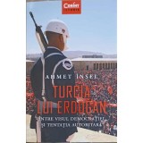 TURCIA LUI ERDOGAN INTRE VISUL DEMOCRATIEI SI TENTATIA AUTORITARA-AHMET INSEL-186726
