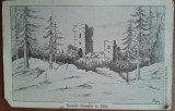 Carte postala, Ruinele Ciceului in 1865