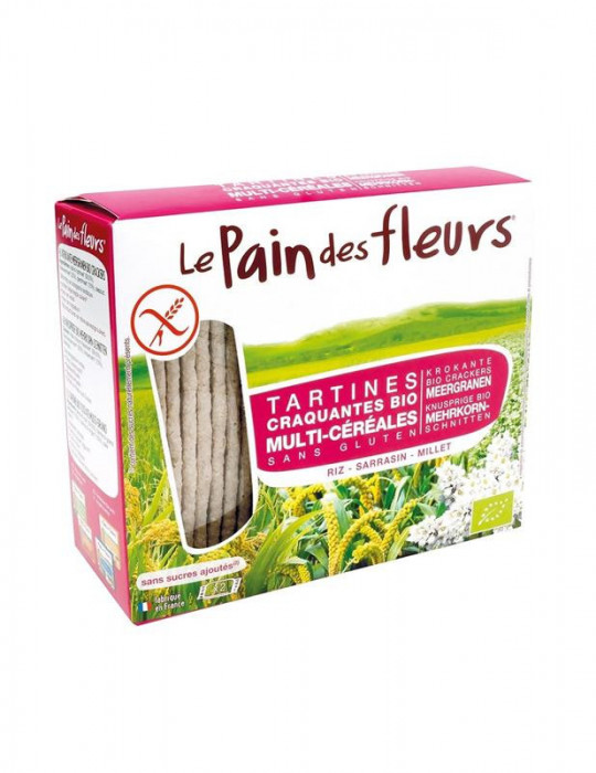 Tartine Crocante Bio Fara Gluten Multicereale Le Pain Des Fleurs 150gr