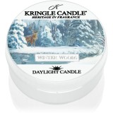 Kringle Candle Winter Woods lum&acirc;nare 42 g