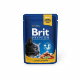 Brit Premium, Pui și Curcan, plic hrană umedă pisici, (&icirc;n sos), 100g