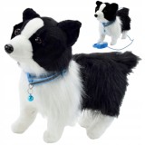 C&Acirc;INE INTERACTIV PE LESĂ MERGEM ȘI LĂTRĂM LA GRANIȚĂ