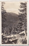 Bnk cp Paltinis - Vedere - circulata 1956, Printata, Sibiu