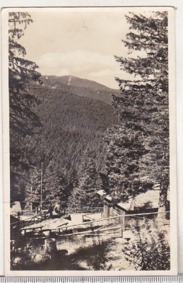 bnk cp Paltinis - Vedere - circulata 1956 foto