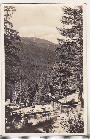 bnk cp Paltinis - Vedere - circulata 1956