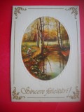 HOPCT 25204 SINCERE FELICITARI FELICITARE CRACIUN / AN NOU- - - CIRCULATA