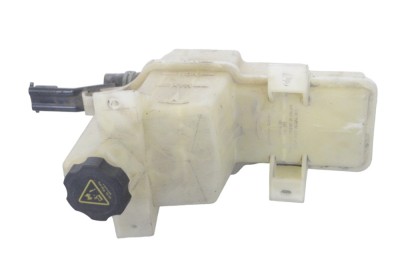 Vas de expansiune TESLA MODEL S 2014 OEM: 1028690-00-A 24587258 foto