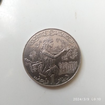 -Y- TUNISIA 1 DINAR 2007 FAO AUNC foto
