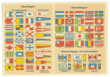 1929 - FLAGS, Romanian Flag, Romania - old postcard - unused, Necirculata, Printata