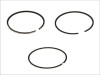 Segment piston
