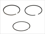 Segment piston