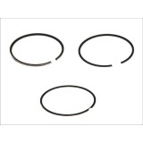 Segment piston