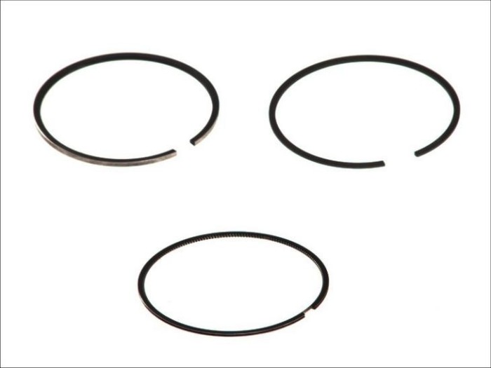 Segment piston