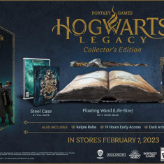 Hogwarts Legacy Collectors Edition Xbox Series