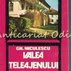 Valea Teleajenului - Gh. Niculescu