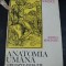 ANATOMIA UMANA , IDEI , FAPTE , EVOLUTIE de MIHAI IONESCU , 1987
