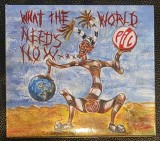 CD Public Image Limited (PiL) - What The World Needs Now... 2015