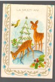 CPIB 17381 FELICITARE - CAPRIOARE