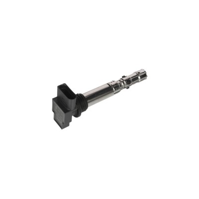 Bobina de inductie SEAT IBIZA IV 6L1 BERU ZSE059 foto
