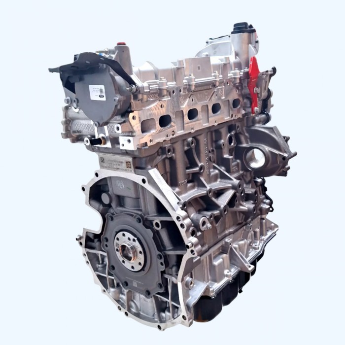 Motor Reconditionat Ford Transit 2.0 2012-2024 - YMFB