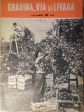 GRADINA, VIA SI LIVADA, REVISTA DE STIINTE SI PRACTICA HORTIVITICOLA, OCTOMBRIE 1962-COLECTIV-233387