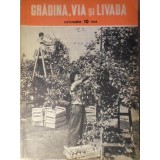 GRADINA, VIA SI LIVADA, REVISTA DE STIINTE SI PRACTICA HORTIVITICOLA, OCTOMBRIE 1962-COLECTIV-233387