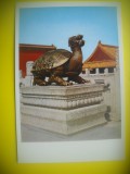 HOPCT 5785 TESTOASA DIN BRONZ PALATUL MUZEU -CHINA-ASIA-NECIRCULATA