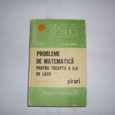 Probleme De Matematica Pentru Treapta A Ii-a De Liceu Siruri - D. M. Batinetu ,552288