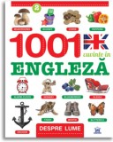 Despre lume - 1001 cuvinte in Engleza - Editura DPH