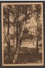 CPI B13505 CARTE POSTALA - VASILE ROAITA. EFORIE, VEDERE, 1956, Circulata, Fotografie