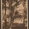 CPI B13505 CARTE POSTALA - VASILE ROAITA. EFORIE, VEDERE, 1956