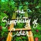 The Simplicity of Cider