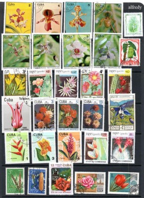 Flora, lot uzat, stampilat foto