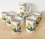 Set - Carafa + Pahare - Villeroy and Boch - Botanica - 6 persoane