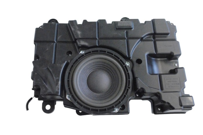 Subwoofer LEXUS RX _L2_ 2018 OEM: 86150-48030 | 23893138