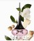 Love potion secrets - 1