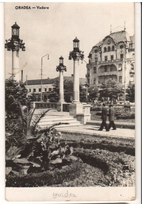 CPIB 22515 - CARTE POSTALA - ORADEA. VEDERE, RPR, 1959