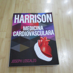 JOSEPH LOSCALZO--HARRISON - MEDICINA CARDIOVASCULARA