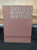 Zapadno Evropeiskaia Jivopisi, Pictura Europei de Vest, Muzeul Pușkin, 1962, 206