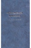 Poezie simbolista romaneasca. Antologie - Luminita Buscaneanu