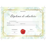 Diploma de absolvire (DZC03)