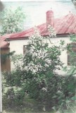 A3993N Casă, fotografie colorizată manual, Rom&acirc;nia, perioada interbelică
