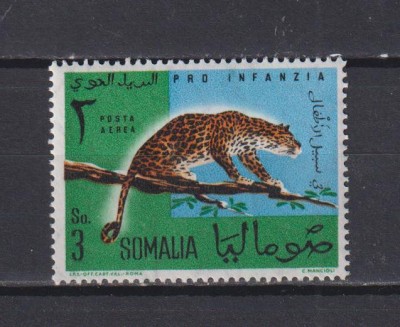 SOMALIA 1960 FAUNA MI. 15 MNH foto