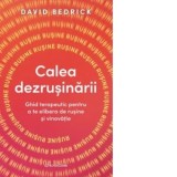 Calea dezrusinarii. Ghid terapeutic pentru a te elibera de rusine si vinovatie - Diana Ciornenschi, David Bedrick
