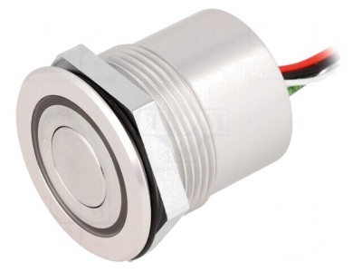 Comutator Anti-Vandalism 2 Poz SPST-NO 0.05A 24VDC IP65 foto